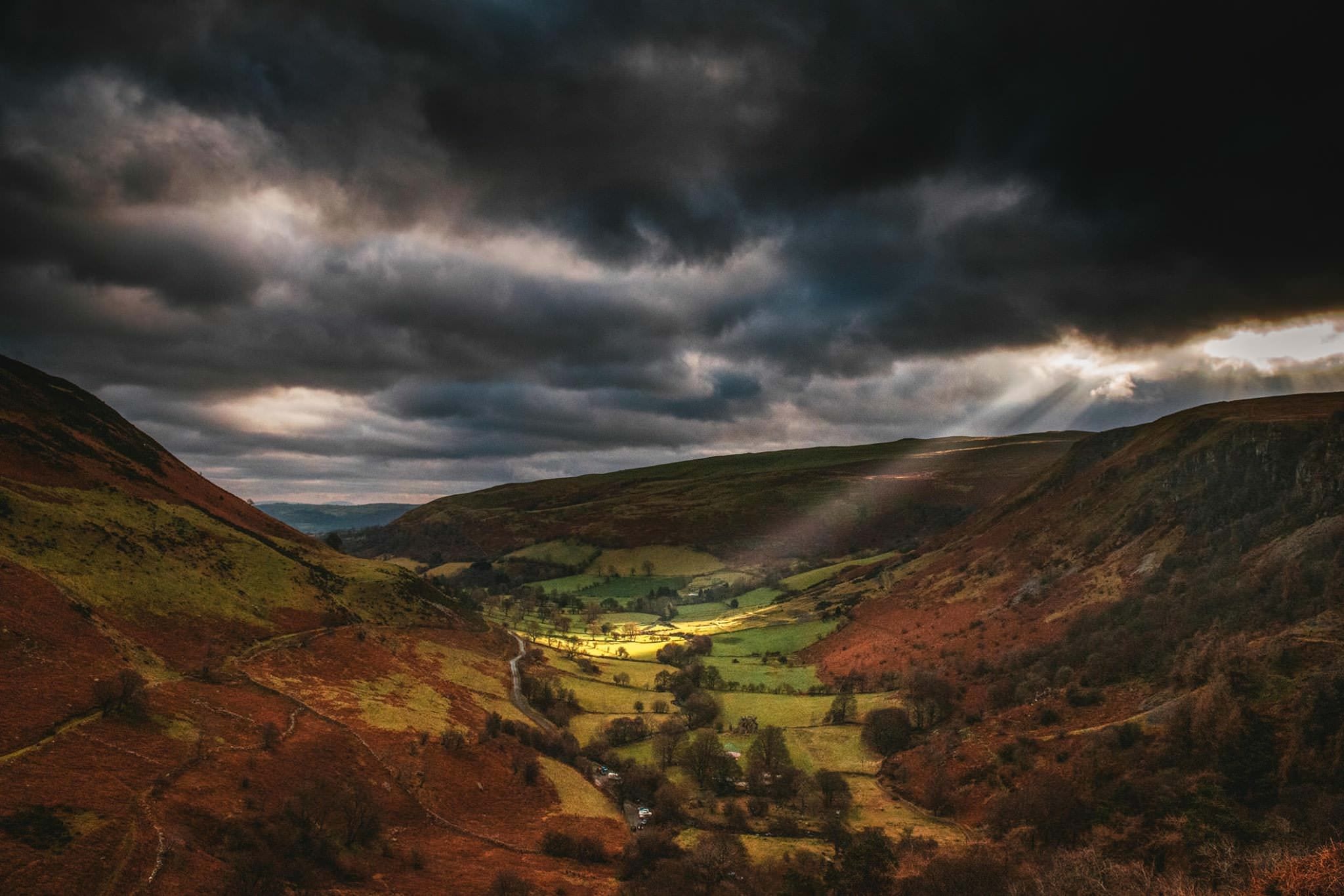 Nature in Ireland