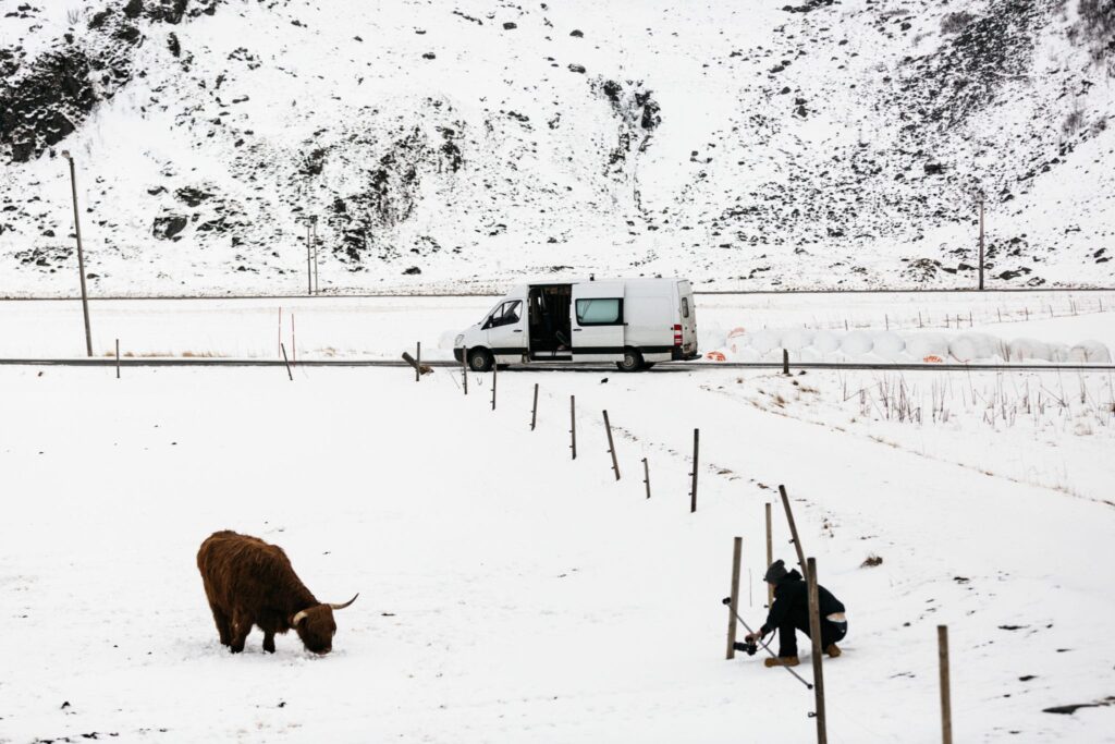campervan in a snowy field with a highland cow 
