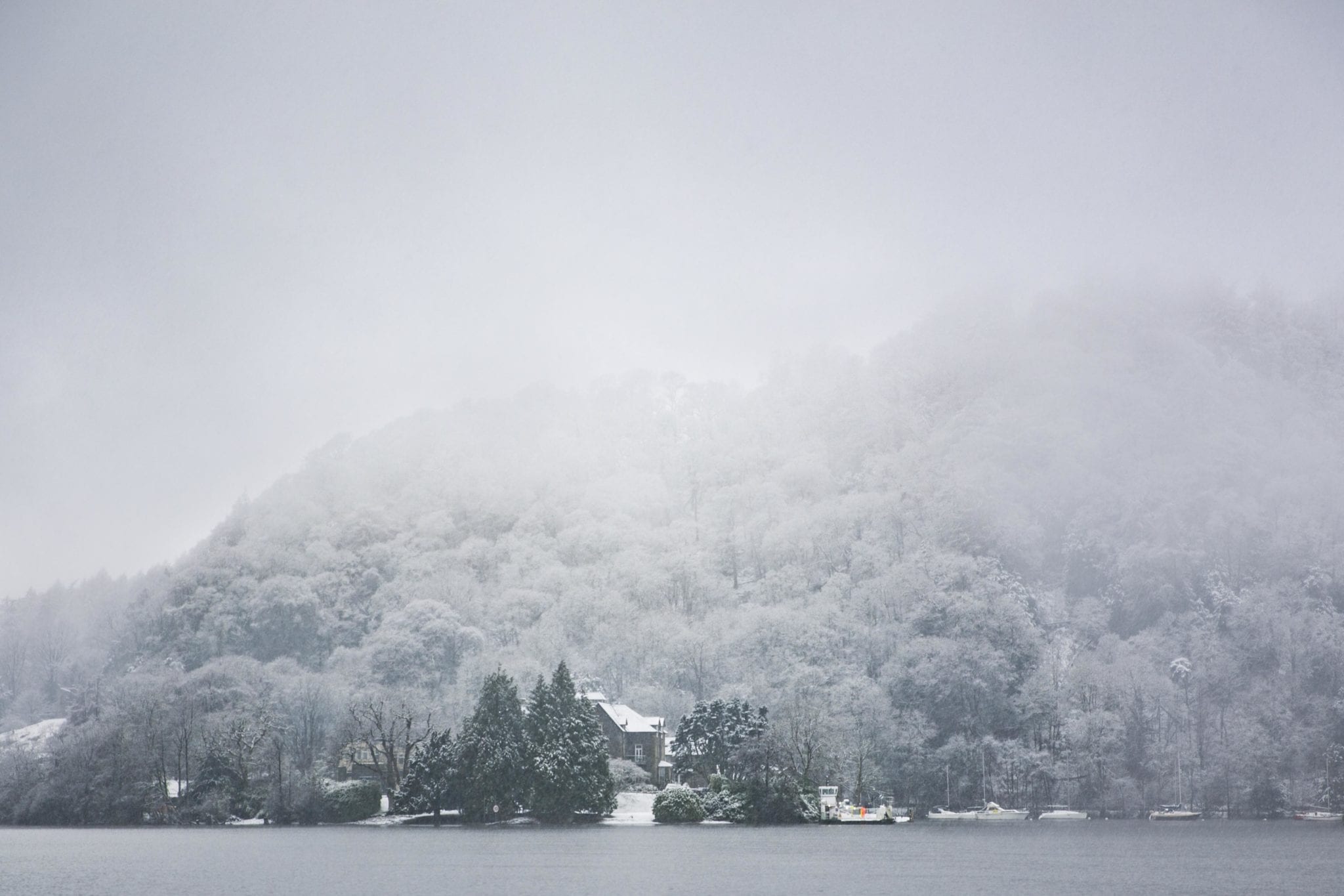 a snowy foggy lake and trees in UK