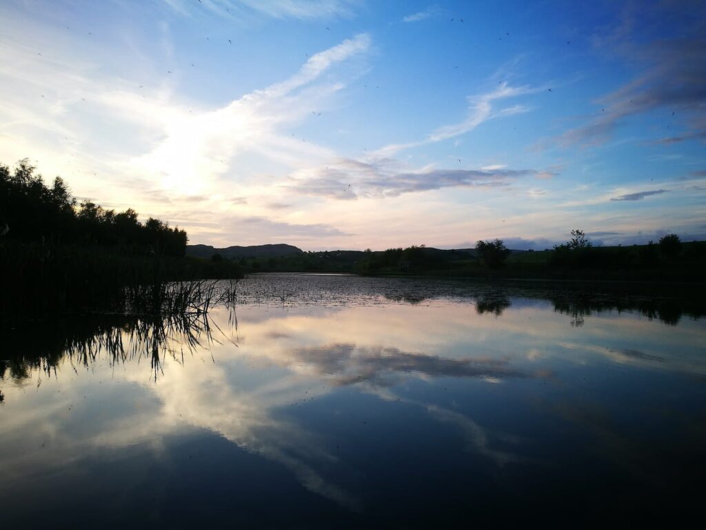 Lake at fforest fields