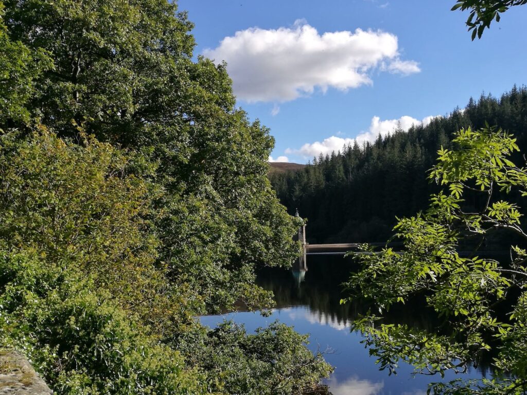 Trees overhanging the water in a lake with a blue sky