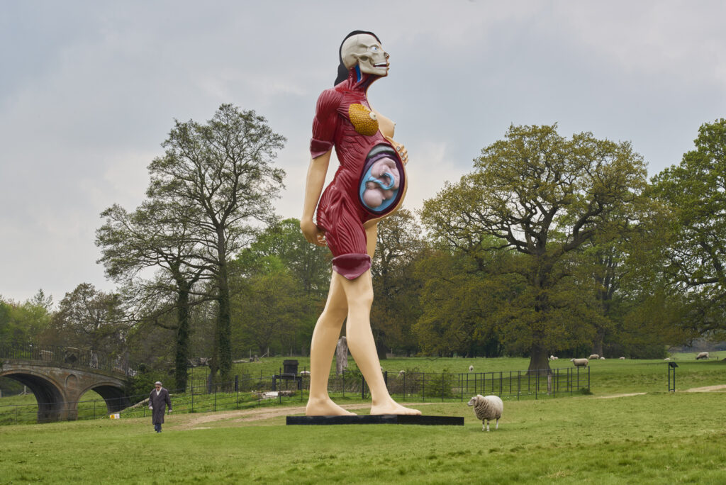 Yorkshire Sculpture Park - Damien Hirst