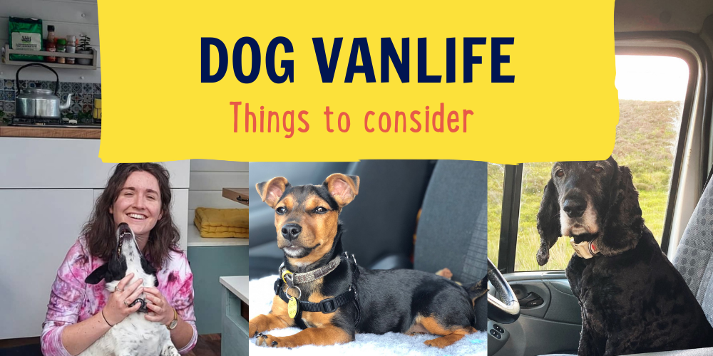 Vanlife With A Dog  (tips and tricks) 