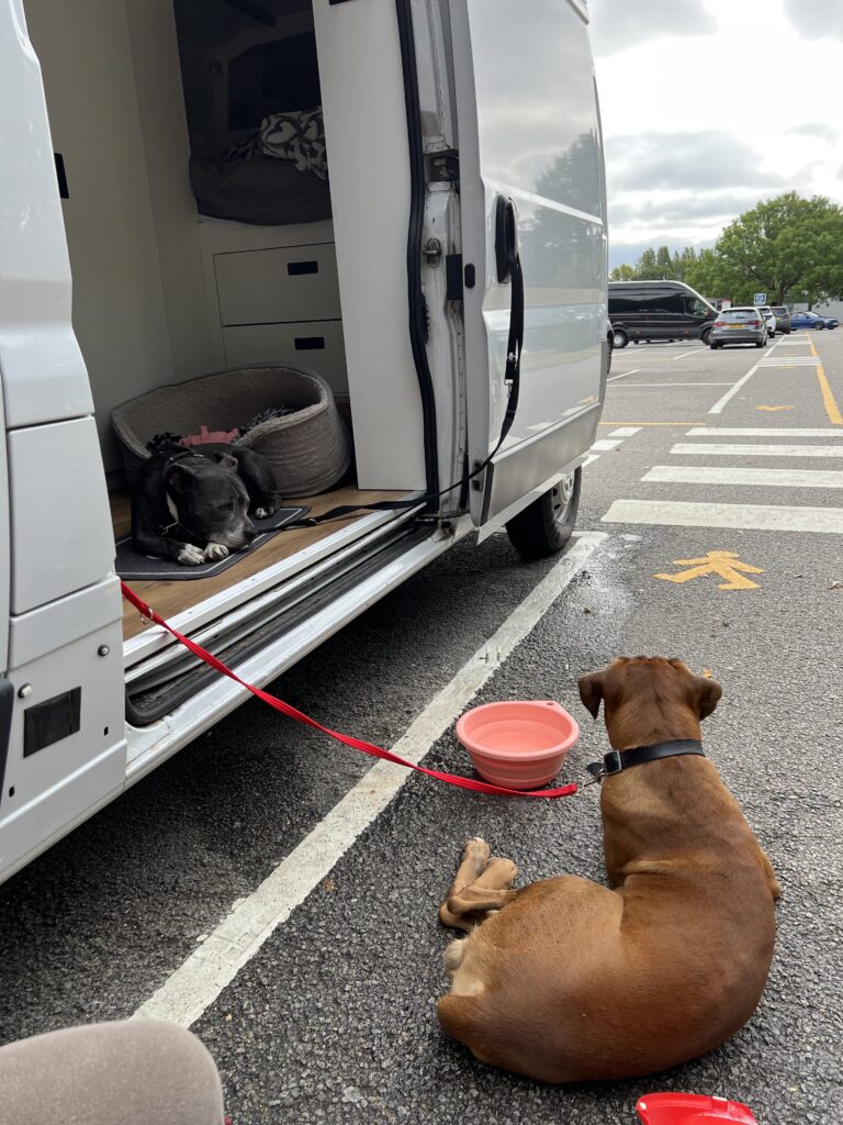 CAMPER WITH SHOWER FOR SALE open to offers Quirky Campers