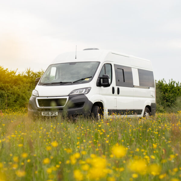 A white camper van is parked in a field of blooming yellow flowers. The greenery and flowers cover the ground, extending to the horizon with bushes and trees in the background. The sky is overcast, creating a soft light that makes the scene serene and picturesque.